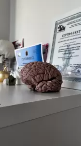 Фотография Элитцентер 0